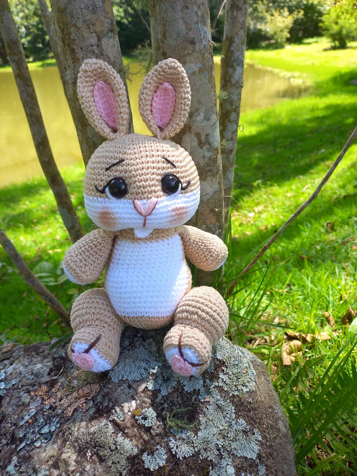 Coelho Em Amigurumi