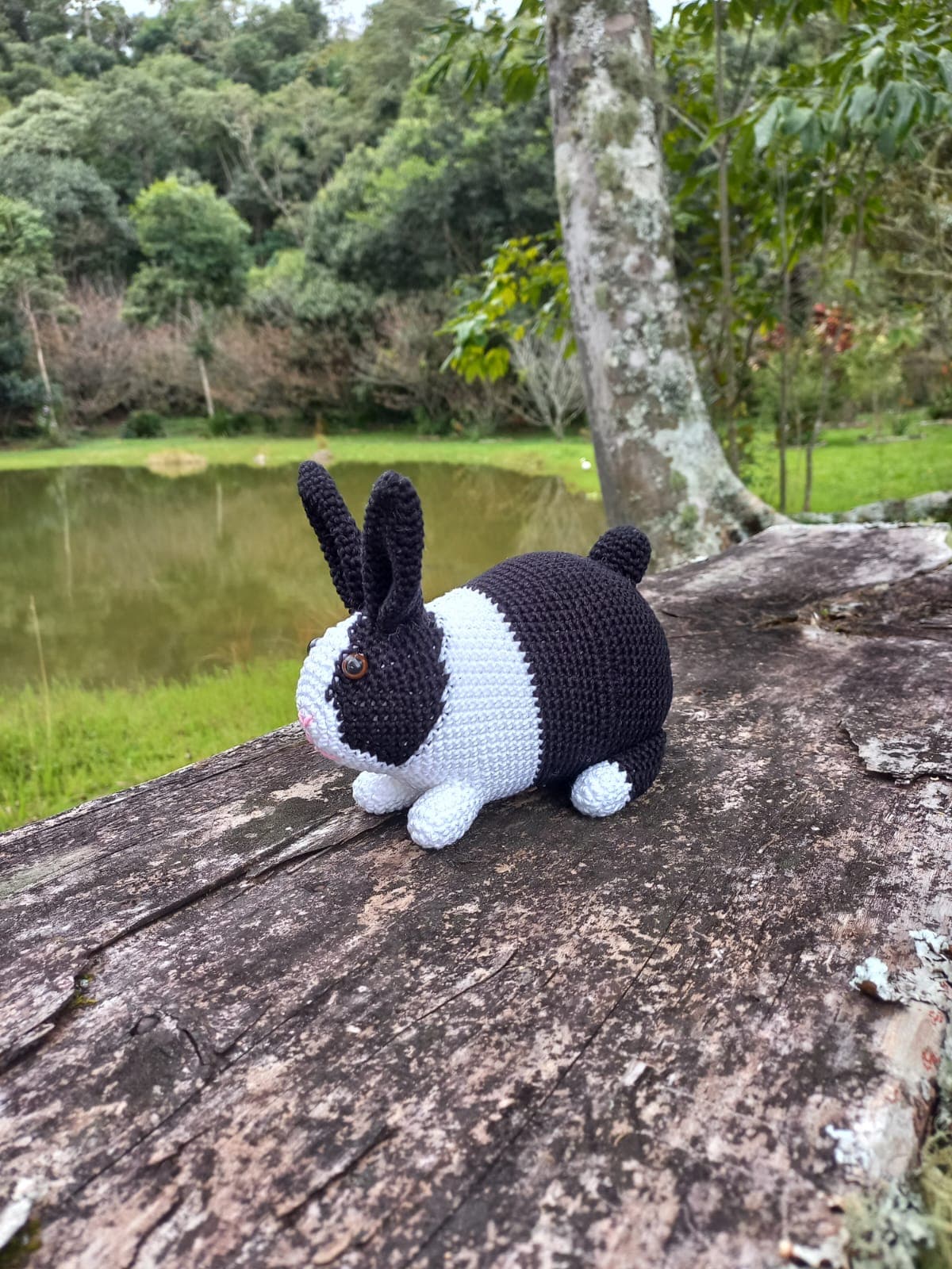 Coelho Malhado Em Amigurumi